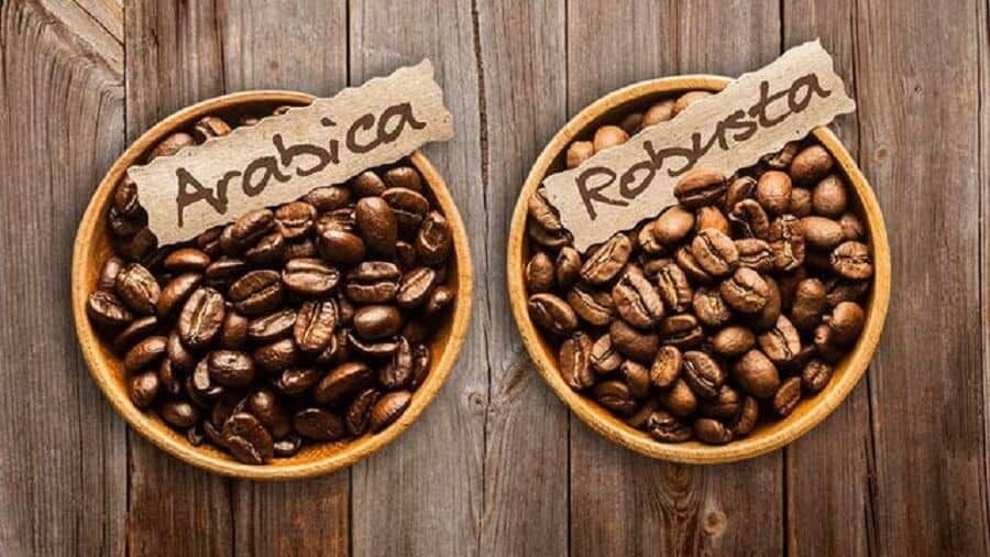So sánh cà phê Arabica và Robusta: Loại nào hợp với bạn?