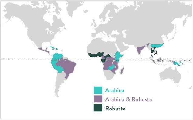 Khu vực trồng cà phê Arabica và Robusta trên thế giới